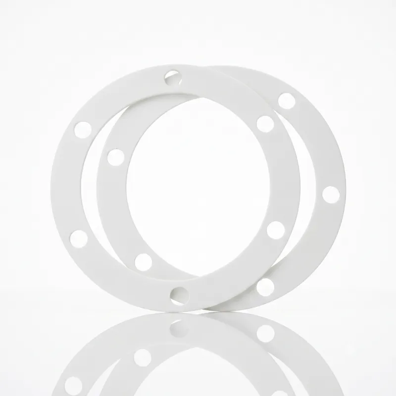 PTFE Gasket