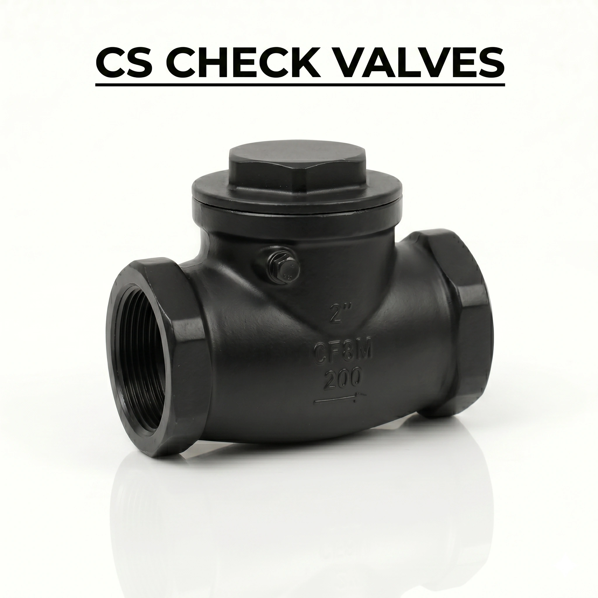 CS CHECK VALVES SUPPLIER IN MUMBAI