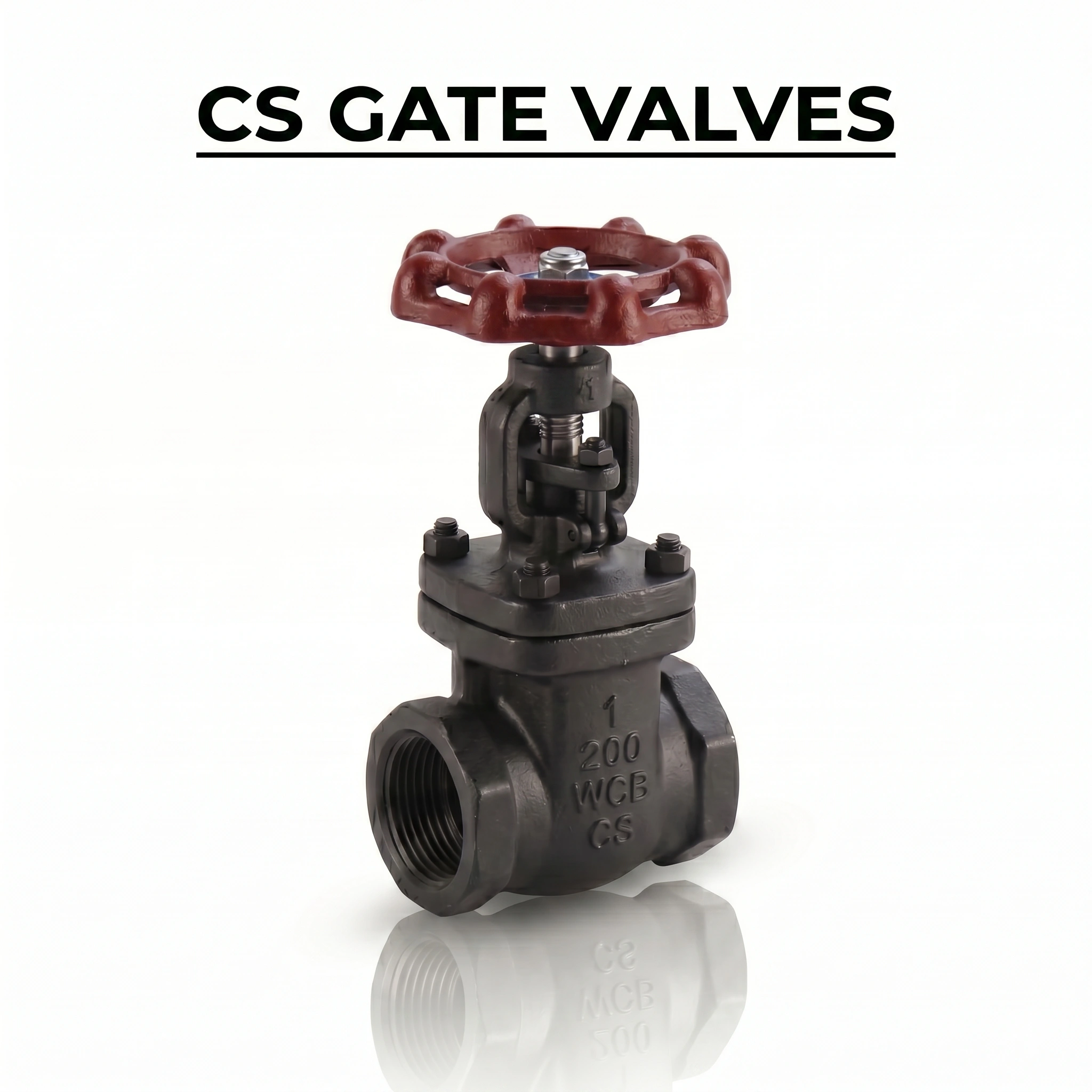 CS GATE VALVES SUPPLIER IN MUMBAI