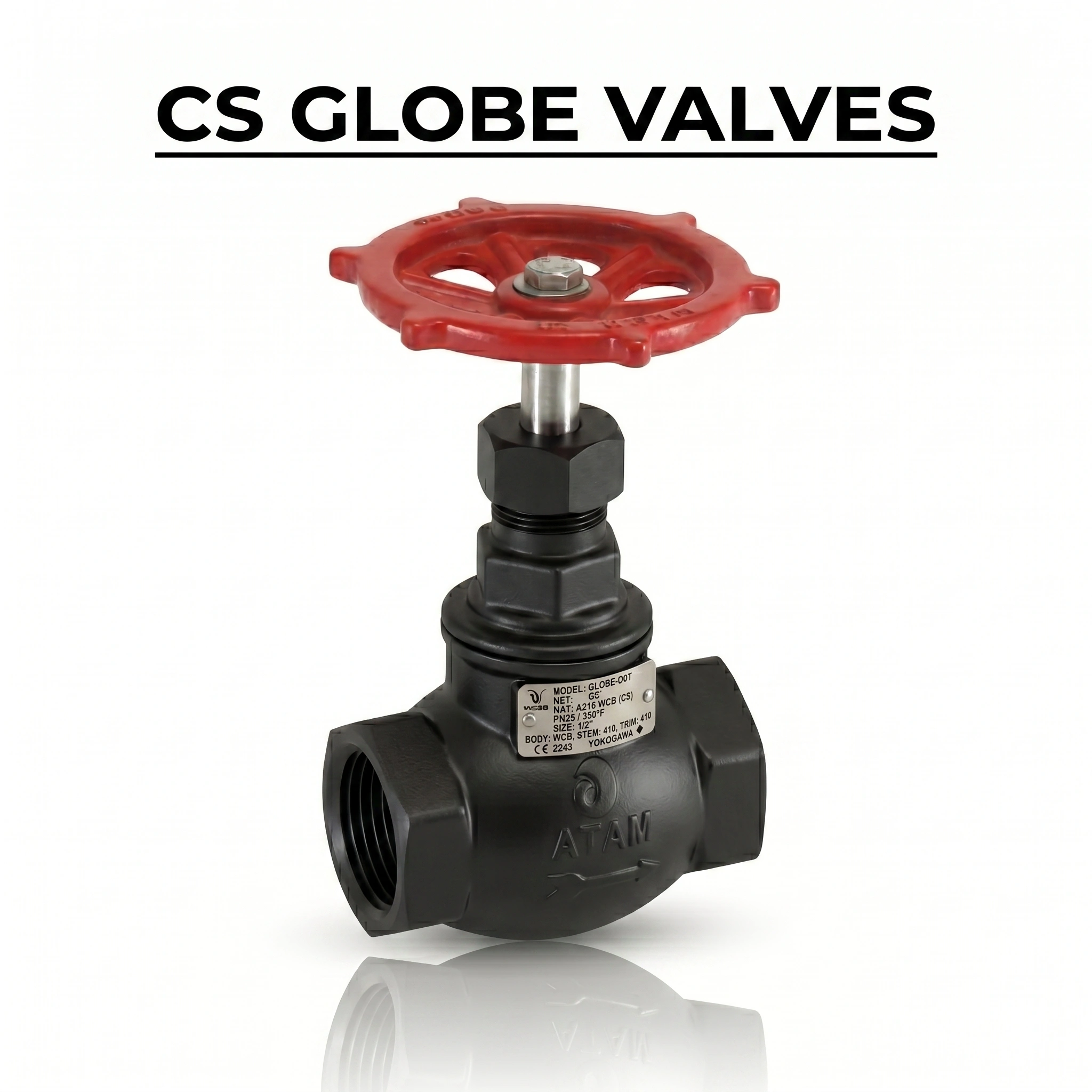CS GLOBE VALVES SUPPLIER IN MUMBAI